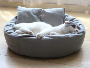Product picture：Furniture factory宠百思Pet furnitureproduct name《Egg Tart Pet Bed》议价