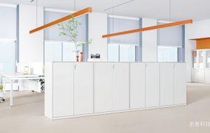 Product picture：Furniture factory圣奥科技Office furnitureproduct name《Stilette Filing Cabinet》议价