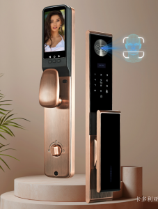 Product picture：Furniture factory 卡多利亚 Smart home product name 《Smart lock for anti-theft door》议价