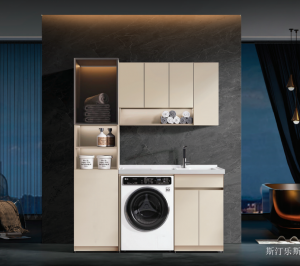 Product picture：Furniture factory 斯汀乐斯 Bathroom furniture product name 《Shallow light excessive moisture meters balcony ark》议价