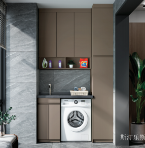 Product picture：Furniture factory 斯汀乐斯 Bathroom furniture product name 《Brown light luxury moisture-proof balcony cabinet》议价