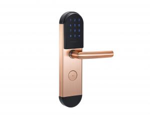 Product picture：Furniture factory 日翔科技 Smart home product name 《Two-color handle smart lock》议价