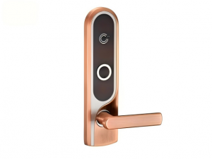 Product picture：Furniture factory 日翔科技 Smart home product name 《Dual-color touch control handle smart lock》议价